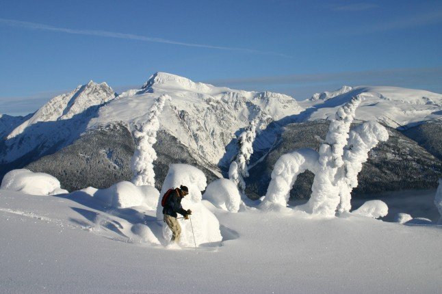 skier