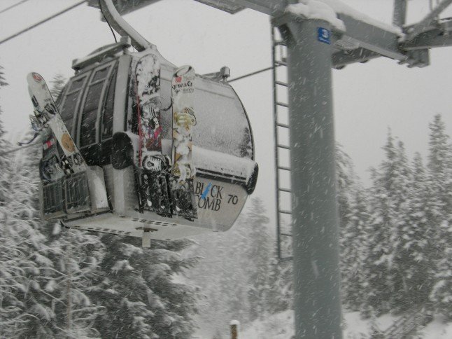 whistler 036